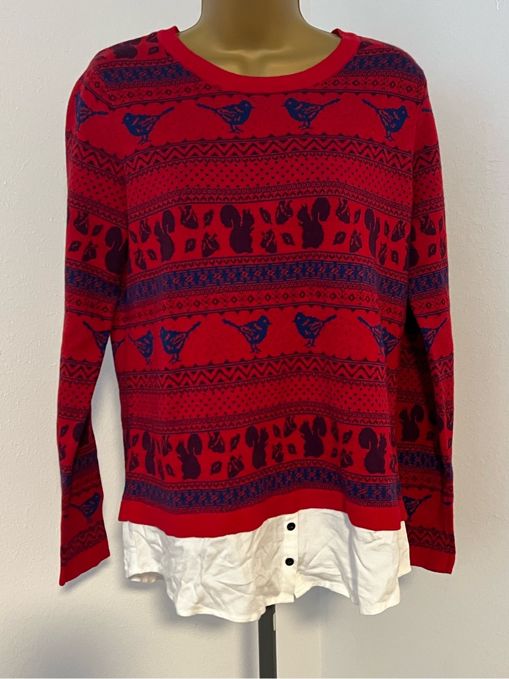 BASSR Sweater with Blue Bird & Squirrel Pattern